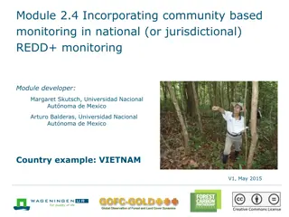 Incorporating Community-based Monitoring in National REDD+ Monitoring