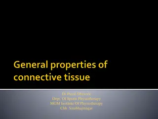 Dynamic Behavior of Connective Tissues