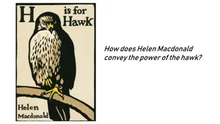 Conveying the Power of the Hawk