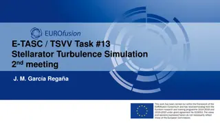 Stellarator Turbulence Simulation Insights