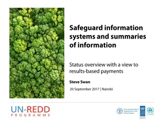 Implementing UNFCCC Safeguards for Sustainable Development