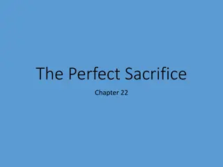 Understanding Sacrifices in the Old Testament