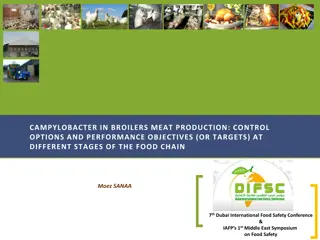 Broiler Meat Production: Campylobacter Control Methods