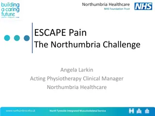 Managing Musculoskeletal Pain: Northumbria Challenge Insights