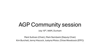 Astronomy Grants Panel Overview and Engagement Details