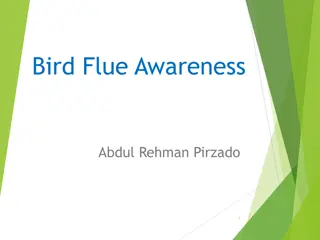 Understanding Avian Influenza: Symptoms, Prevention & Preparedness