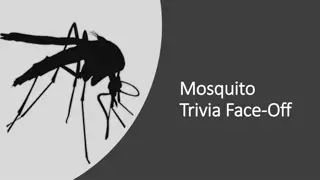 Fascinating Facts About Mosquitoes