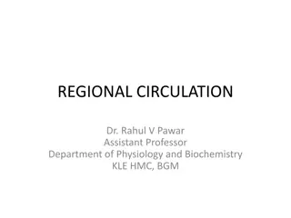 Understanding Regional Circulation and Coronary Blood Flow