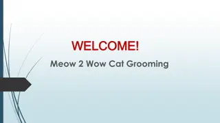 Best Cat Nail Clipping in Bangholme