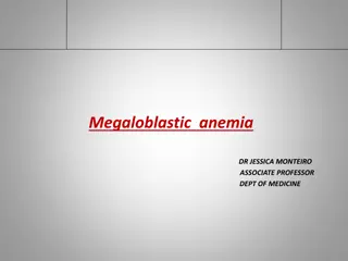 Understanding Megaloblastic Anemia and Its Implications