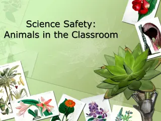 Classroom Animal Care Tips