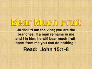 Bearing Much Fruit: The True Vine and Branches