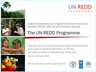 Update on Biodiversity and Indigenous Community Benefits in REDD+ Activities