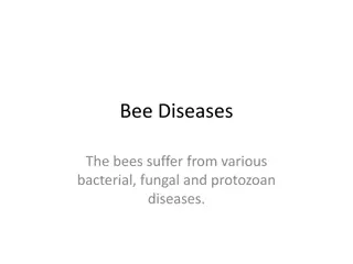 Bee Diseases and Uses of Bee Wax and Venom