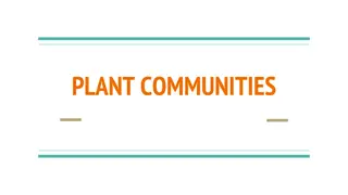 Understanding Plant Communities and Ecological Dynamics