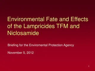Environmental Fate & Effects of Lampricides TFM and Niclosamide