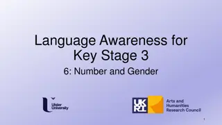 Language Awareness: Number and Gender in Key Stage 3-6