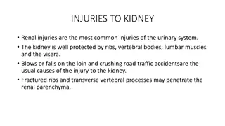 Kidney Injuries Overview