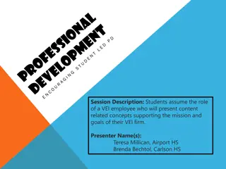 Professional Development Strategies for VEI Employees