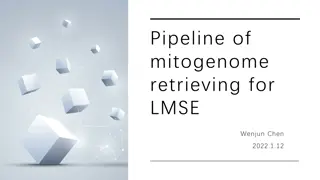 Mitogenome Retrieval Workflow for LMSE Research