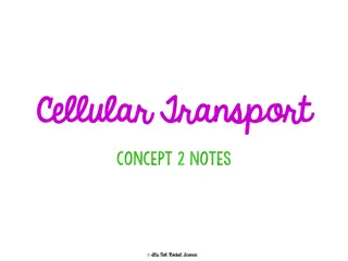 Understanding Cellular Transport Mechanisms
