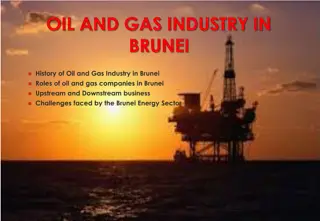 Challenges Faced by Brunei Energy Sector