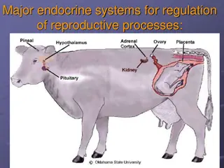 Endocrine Systems for Reproductive Regulation