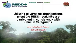 Strengthening REDD+ Governance Arrangements for Consistent Activities