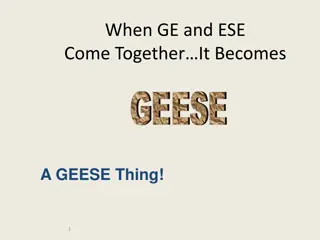 Lessons from Geese for G.E.E.S.E Collaboration