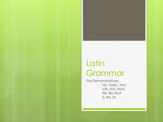 Latin Demonstratives: Types and Usage