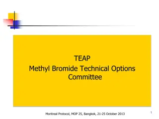 Montreal Protocol Methyl Bromide Technical Options Committee Report