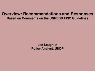 Enhancing FPIC Guidelines: Key Recommendations and Responses