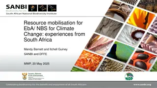 Climate Change Mitigation Opportunities in South Africa