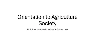 Animal Agriculture and Livestock Production Essentials