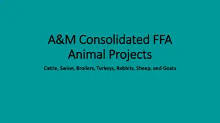 FFA Animal Projects Guide