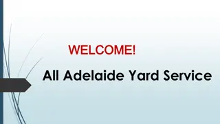 Best Gardener in Hillbank