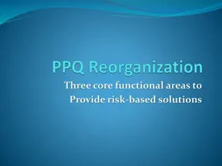 Risk-Based Solutions in Three Key Areas