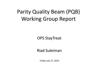 Parity Quality Beam Working Group Report