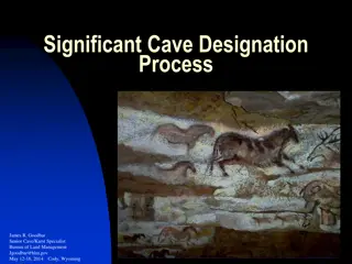Federal Significant Cave Nomination Process