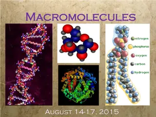 Understanding Macromolecules and their Functions