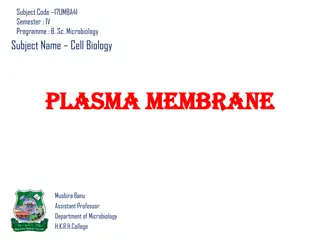 Plasma Membrane Structure and Models