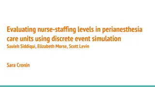 Nurse Staffing Levels Evaluation in Perianesthesia Units