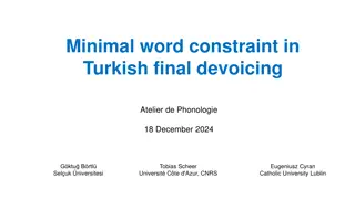 Understanding Final Devoicing Patterns in Turkish