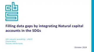 Integrating Natural Capital Accounts in SDGs