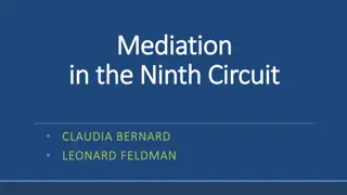 Appellate Mediation Insights