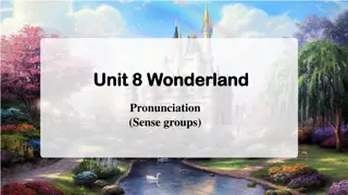 Structure and Practices for Sense Groups
