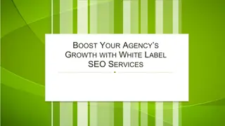 Boost Your Agency’s Growth with White Label SEO Services