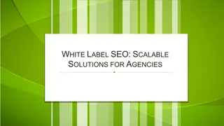 White Label SEO Scalable Solutions for Agencies