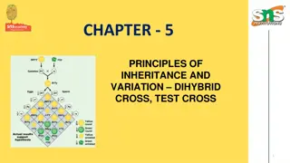 Principles of Inheritance and Variation Terminologies