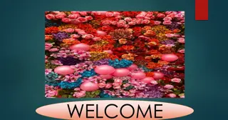 Human Relationships Etiquette and Manners